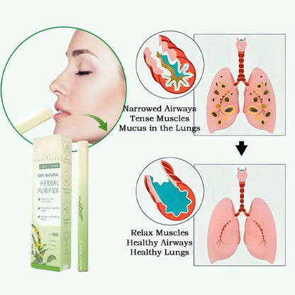 Breathe Qooes™ Mullein Relaxation Stick – Soothes Lungs, Detoxifies, Freshens Breath